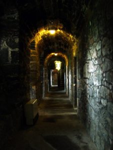 castle_corridor_-_geograph-org-uk_-_535482